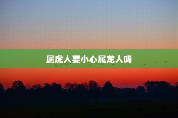 属虎人要小心属龙人吗