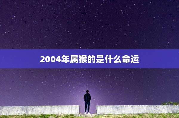 2004年属猴的是什么命运
