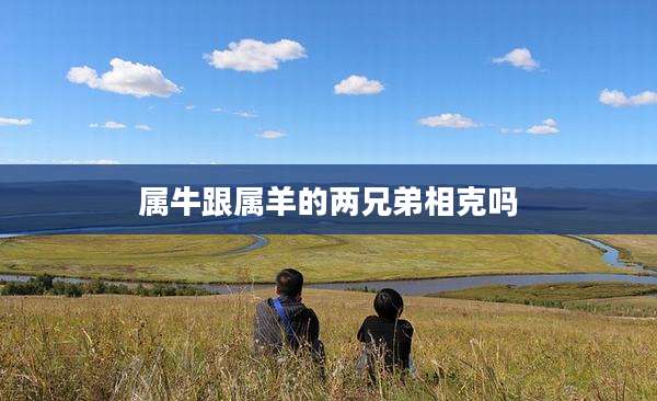 属牛跟属羊的两兄弟相克吗