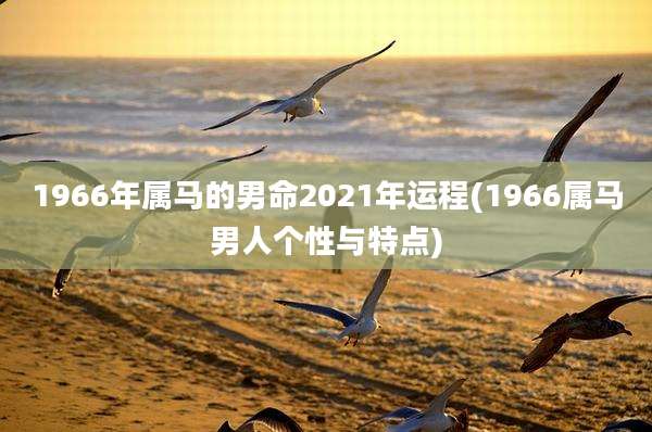 1966年属马的男命2021年运程(1966属马男人个性与特点)