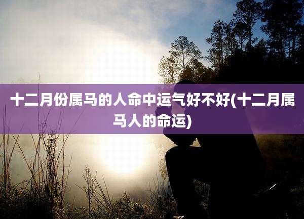 十二月份属马的人命中运气好不好(十二月属马人的命运)