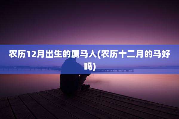 农历12月出生的属马人(农历十二月的马好吗)