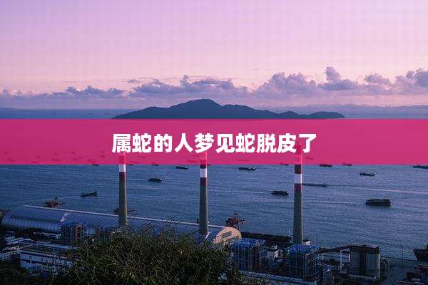 属蛇的人梦见蛇脱皮了