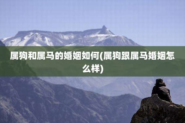 属狗和属马的婚姻如何(属狗跟属马婚姻怎么样)