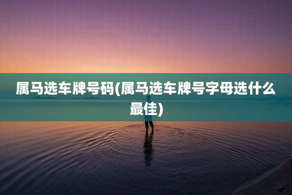 属马选车牌号码(属马选车牌号字母选什么最佳)