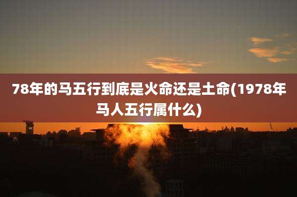 78年的马五行到底是火命还是土命(1978年马人五行属什么)