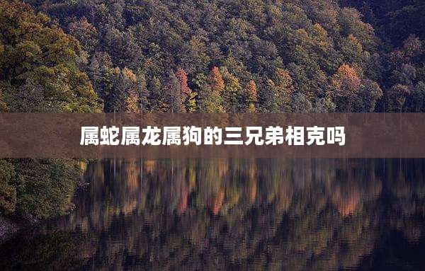 属蛇属龙属狗的三兄弟相克吗
