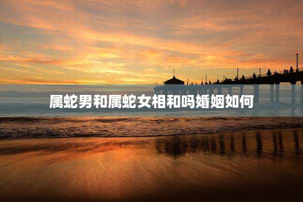 属蛇男和属蛇女相和吗婚姻如何