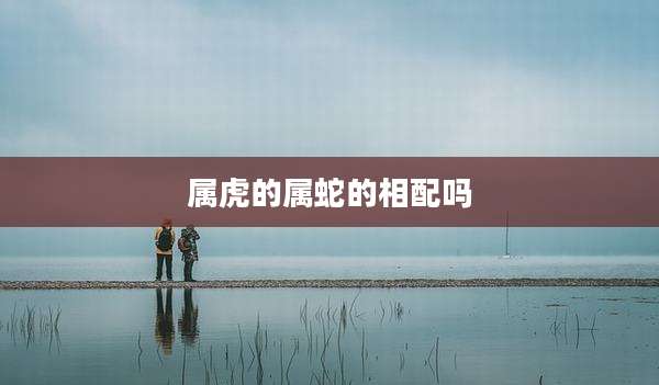 属虎的属蛇的相配吗