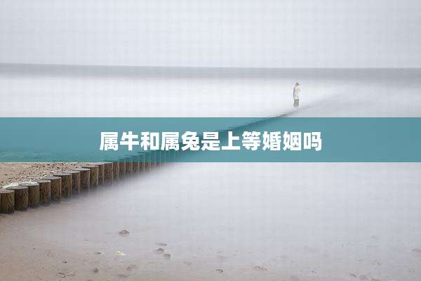 属牛和属兔是上等婚姻吗