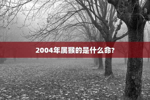 2004年属猴的是什么命?
