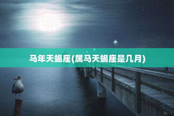 马年天蝎座(属马天蝎座是几月)