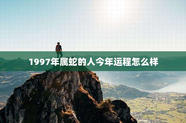 1997年属蛇的人今年运程怎么样