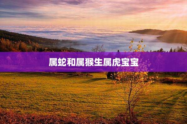 属蛇和属猴生属虎宝宝