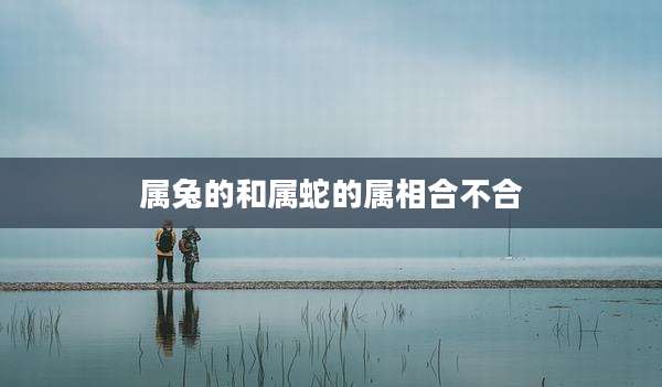 属兔的和属蛇的属相合不合