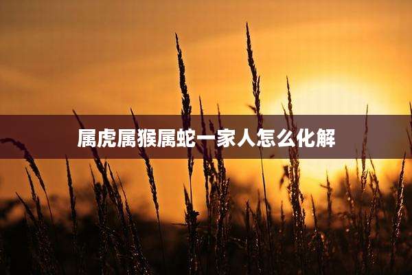 属虎属猴属蛇一家人怎么化解