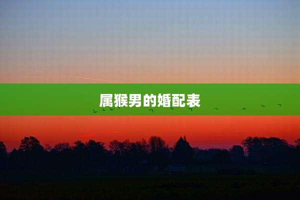 属猴男的婚配表