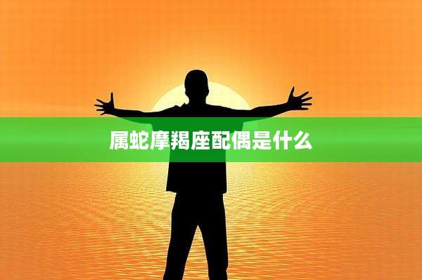 属蛇摩羯座配偶是什么