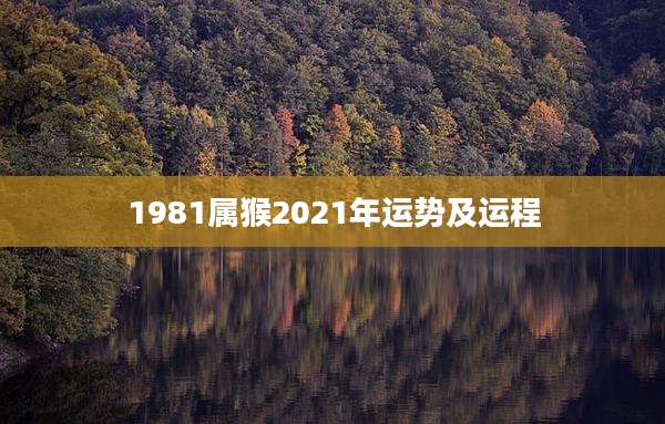 1981属猴2021年运势及运程