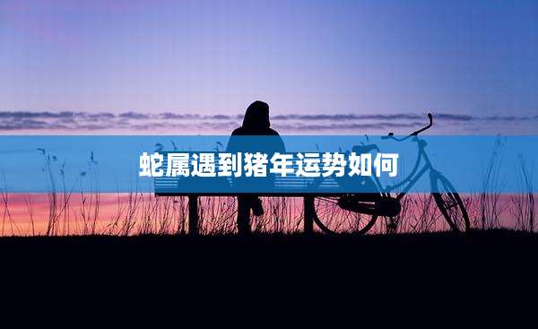 蛇属遇到猪年运势如何