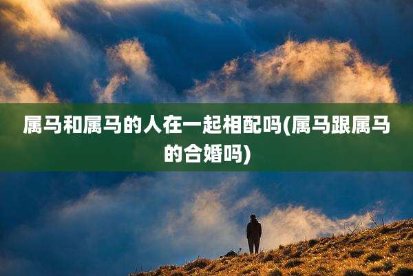 属马和属马的人在一起相配吗(属马跟属马的合婚吗)