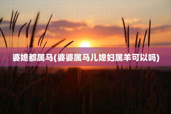 婆媳都属马(婆婆属马儿媳妇属羊可以吗)