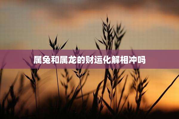 属兔和属龙的财运化解相冲吗