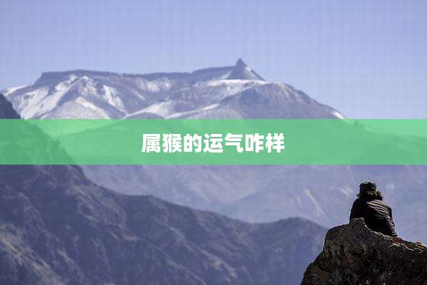 属猴的运气咋样