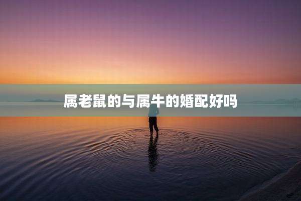 属老鼠的与属牛的婚配好吗