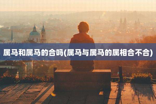 属马和属马的合吗(属马与属马的属相合不合)