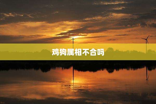 鸡狗属相不合吗