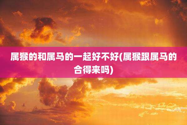 属猴的和属马的一起好不好(属猴跟属马的合得来吗)