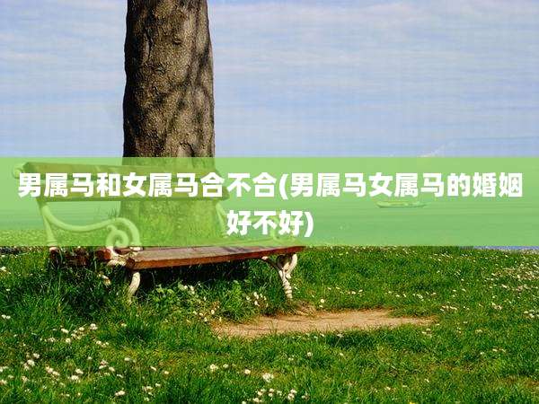 男属马和女属马合不合(男属马女属马的婚姻好不好)