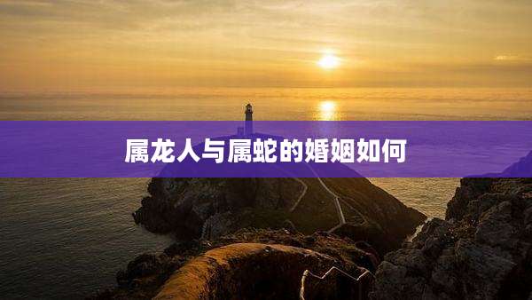 属龙人与属蛇的婚姻如何