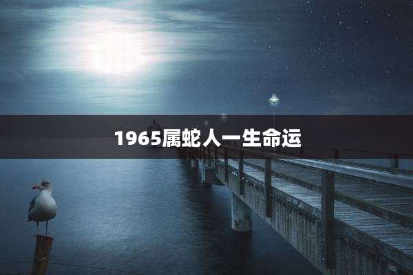 1965属蛇人一生命运