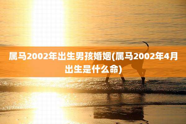 属马2002年出生男孩婚姻(属马2002年4月出生是什么命)