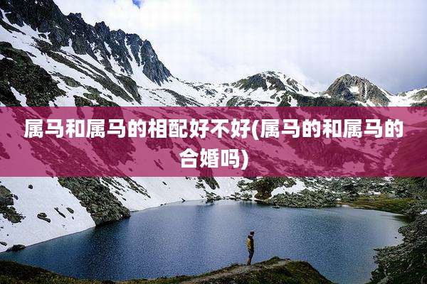 属马和属马的相配好不好(属马的和属马的合婚吗)