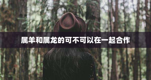 属羊和属龙的可不可以在一起合作