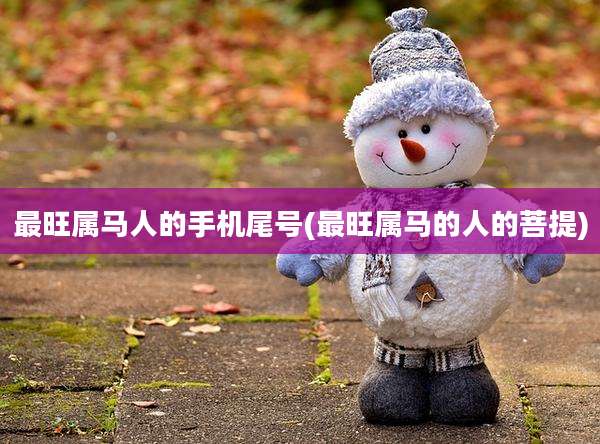 最旺属马人的手机尾号(最旺属马的人的菩提)