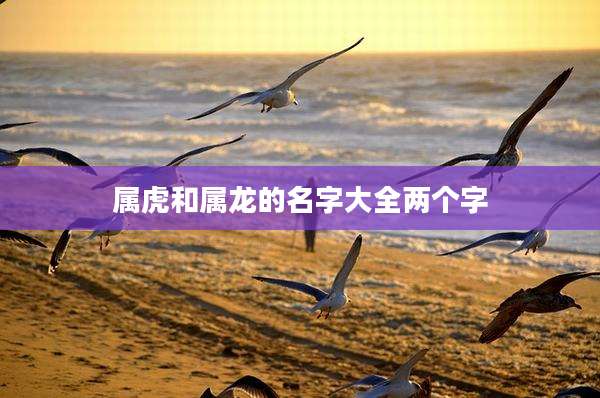 属虎和属龙的名字大全两个字