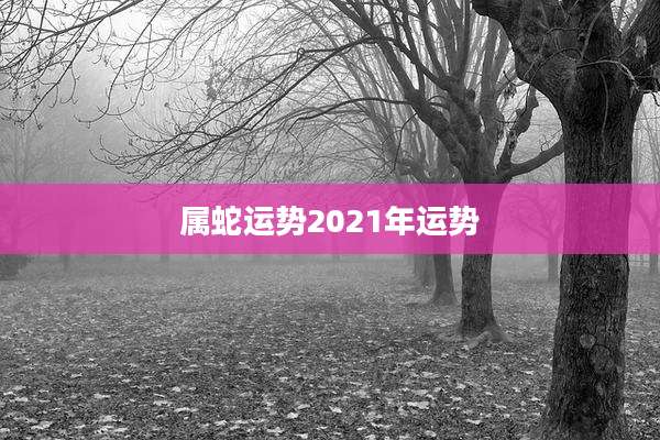 属蛇运势2021年运势