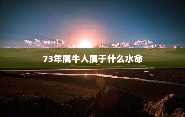 73年属牛人属于什么水命
