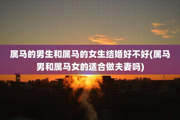 属马的男生和属马的女生结婚好不好(属马男和属马女的适合做夫妻吗)
