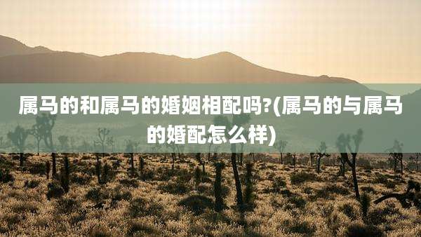 属马的和属马的婚姻相配吗?(属马的与属马的婚配怎么样)