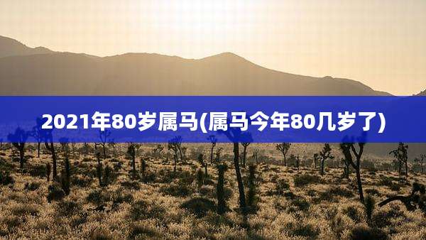 2021年80岁属马(属马今年80几岁了)