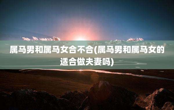 属马男和属马女合不合(属马男和属马女的适合做夫妻吗)