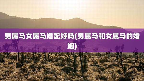 男属马女属马婚配好吗(男属马和女属马的婚姻)