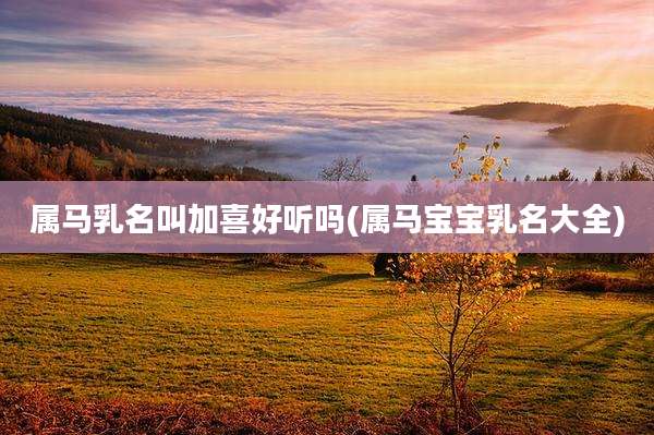 属马乳名叫加喜好听吗(属马宝宝乳名大全)