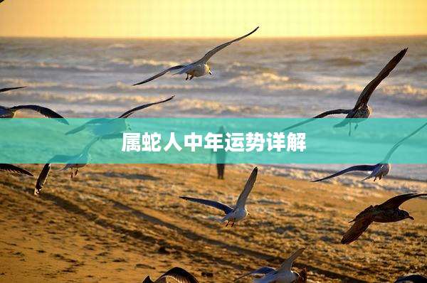 属蛇人中年运势详解