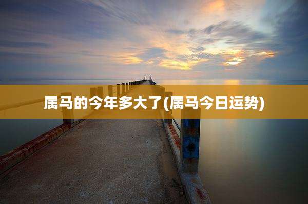 属马的今年多大了(属马今日运势)